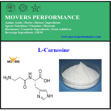 Pure Natural Hot Sale High Quality L-Carnosine